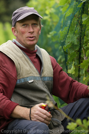 Colin in the vines - Parva Farm Vineyard, Tintern